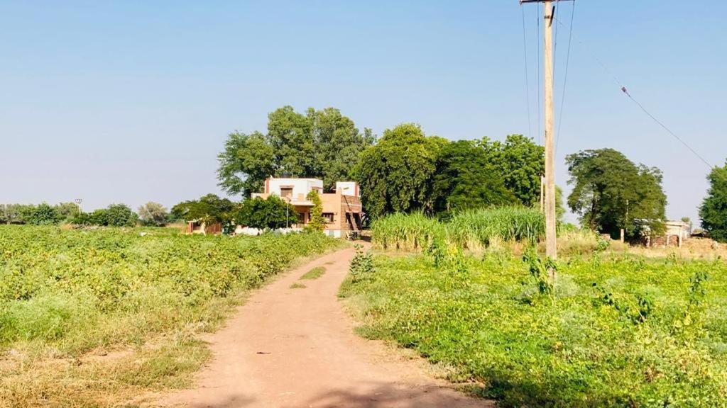 Ananya Farms Paradise ジョードプル エクステリア 写真